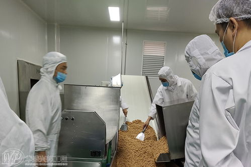 食品工厂洁净室纯水设备去除有机物的关键技术解析